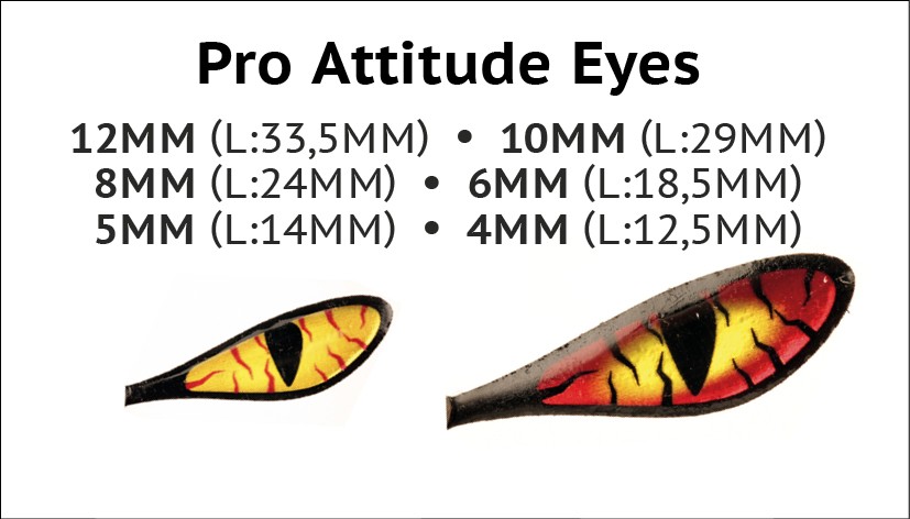 P-27707_Pro-Attitude_Eyes