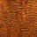 grizzly orange