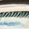 mangrove minnow