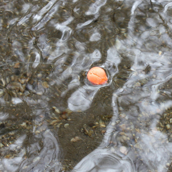 Hoch schwimmend