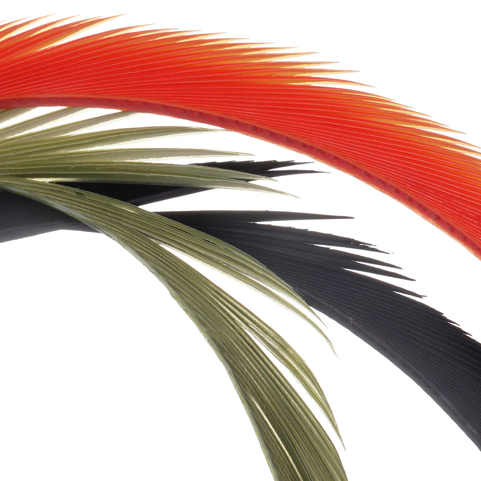 Soldarini Goose Biots