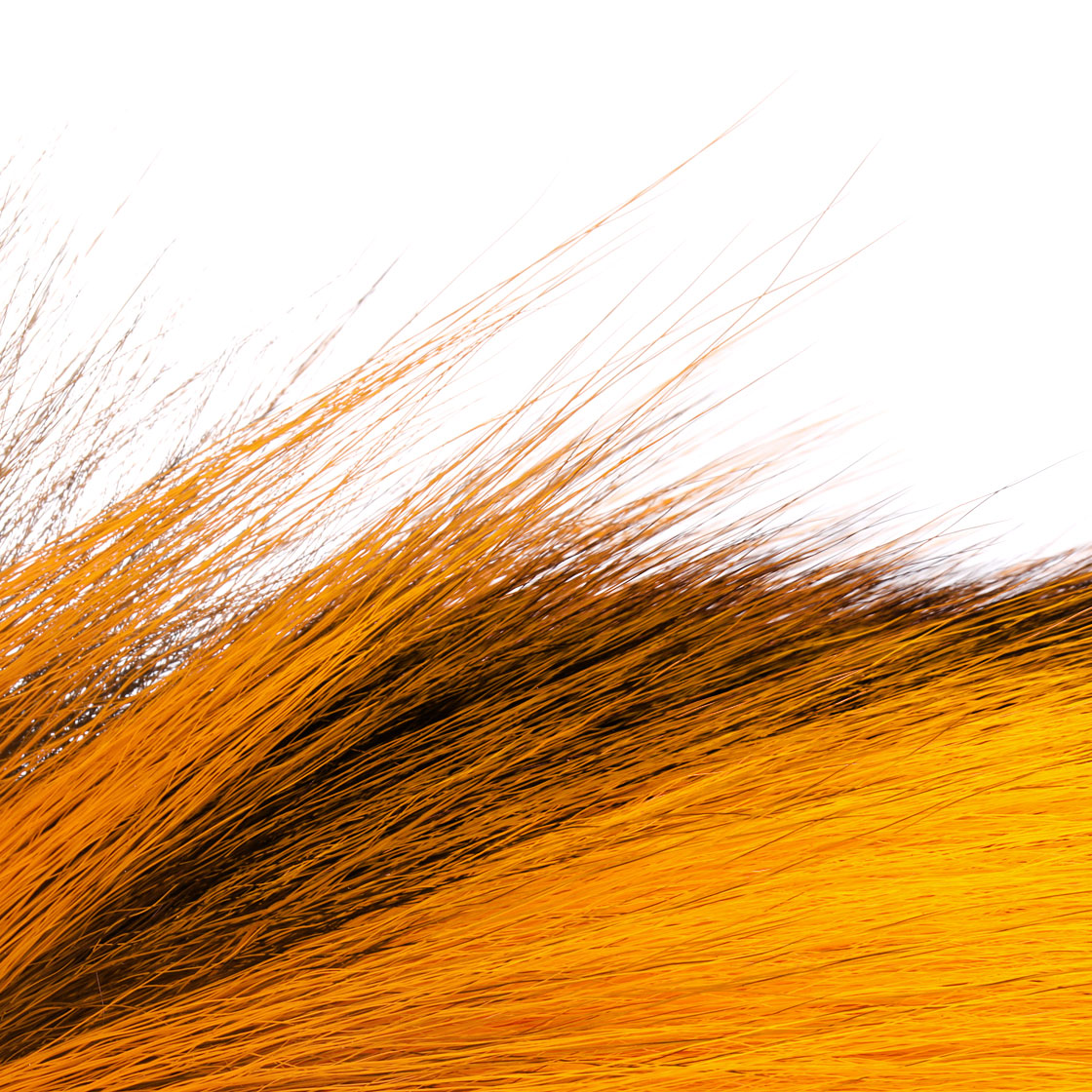 P-20518_wapsi_bucktail-prime_medium_detail_ginger