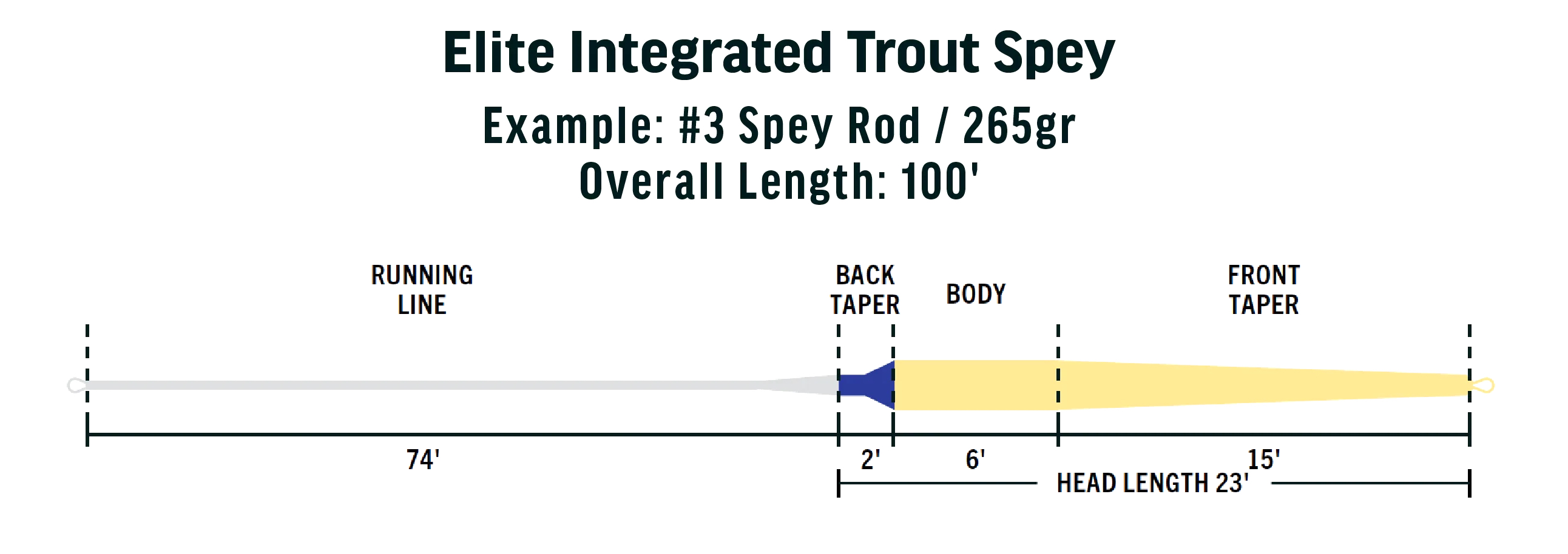 P-24131_Rio_Elite_Intergrated_Trout_Spey_Fliegenschnur_2