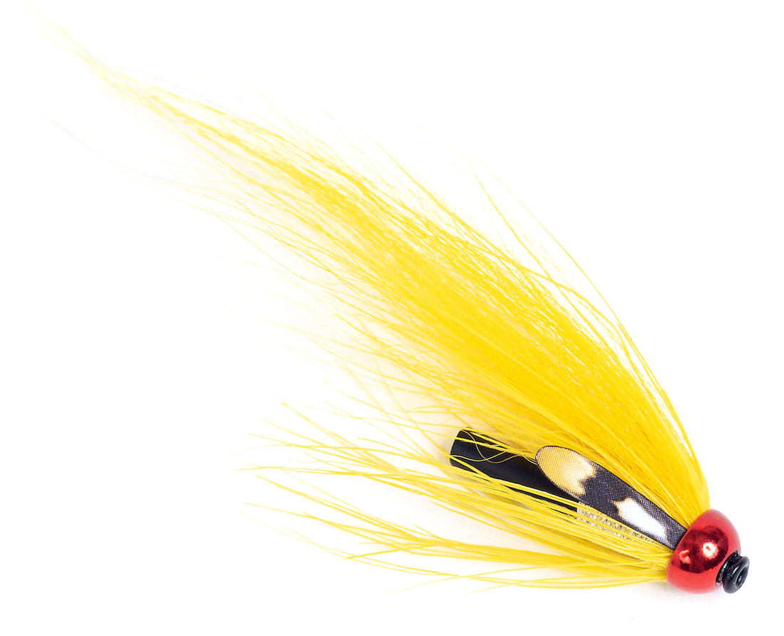 Guideline Tubenfliege Kontrolla Fly