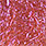 10 cinnamon