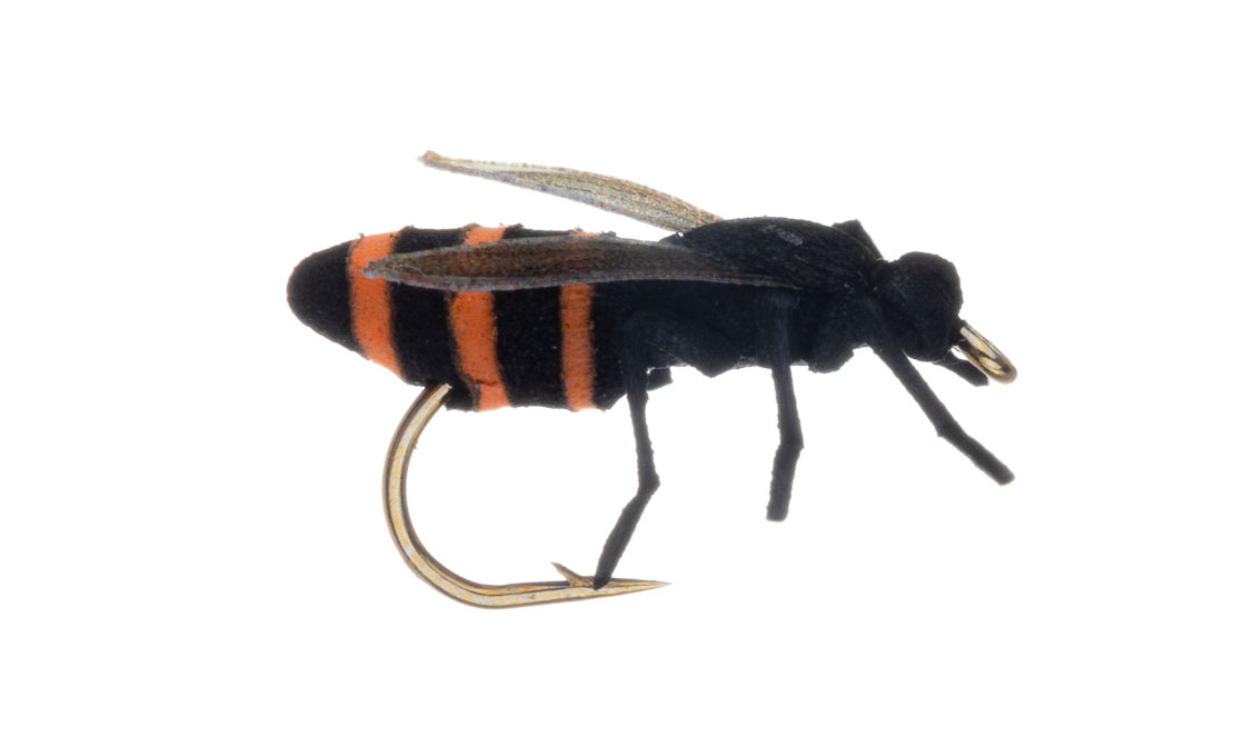 15913_Vania-Realistic-Honey-orange