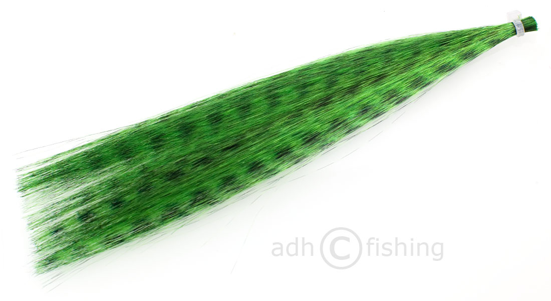 baitfish green