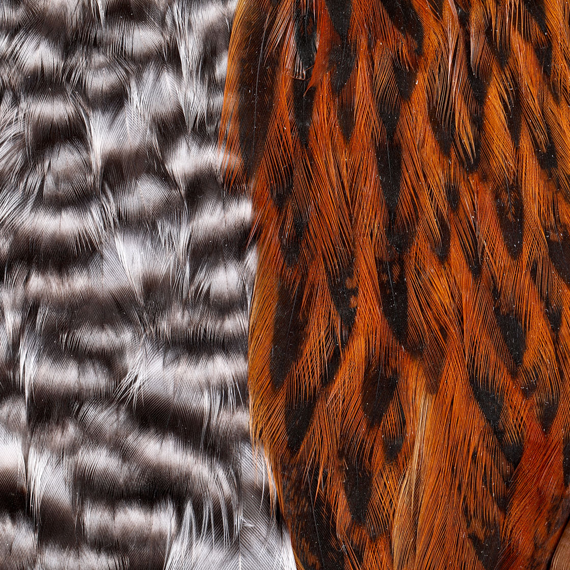 P-25399_Whiting-Introductory-Soft-Hackle-Pack-2-Half-Capes_2-Half_detail-2