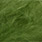 25 olive green