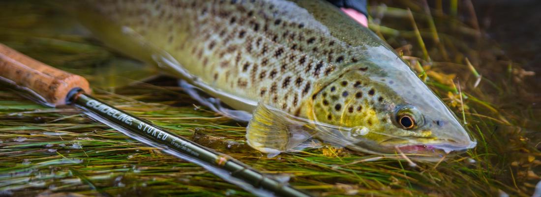 Guideline-Stoked-Details-2