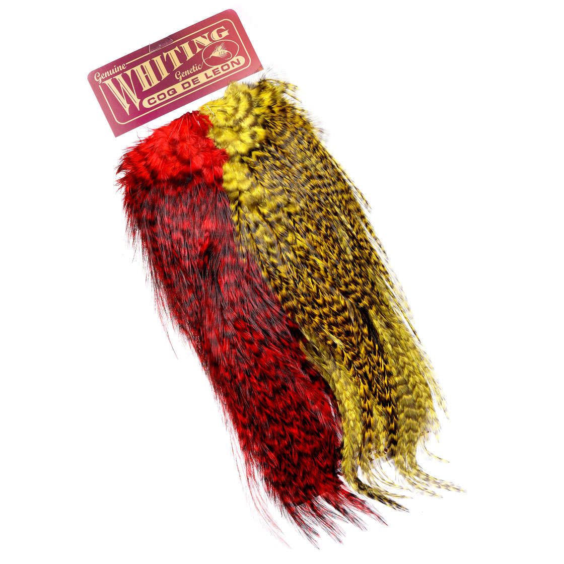 Red / Yellow