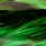 grizzly green