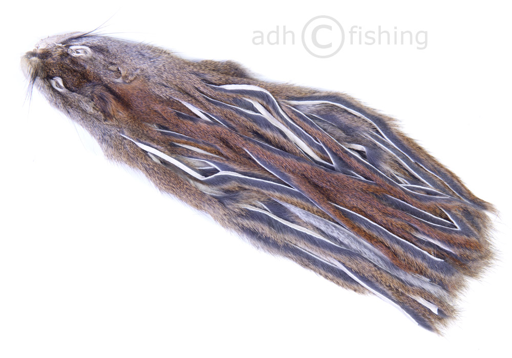 SquirrelSkin_natural_hi natural