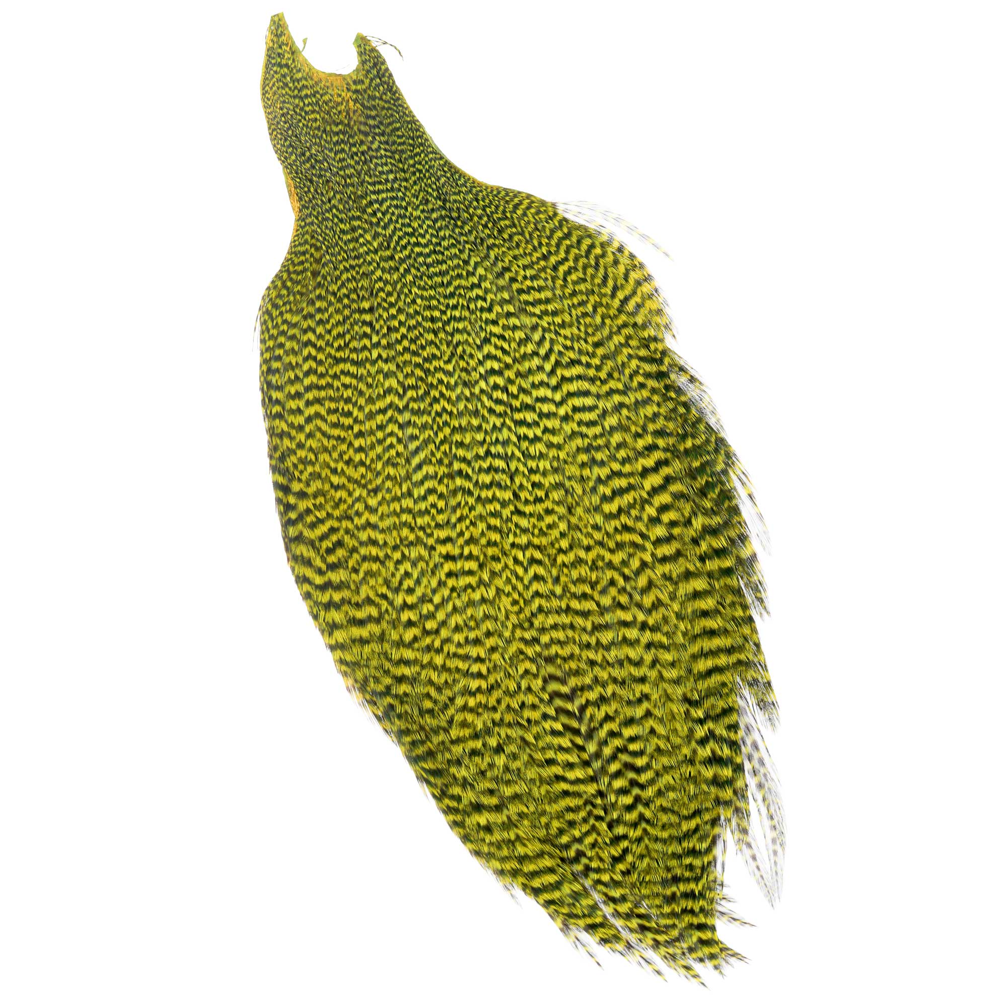 Wapsi Ewing Grizzly Rooster Whole Capes Premium Quality