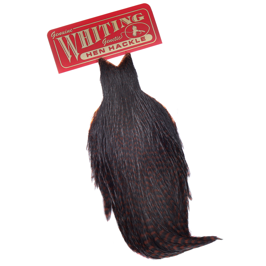 Whiting Hen Cape
