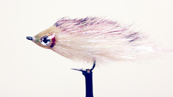 Bindevideo: Baitfish Streamer