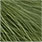moss green