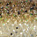 champagne