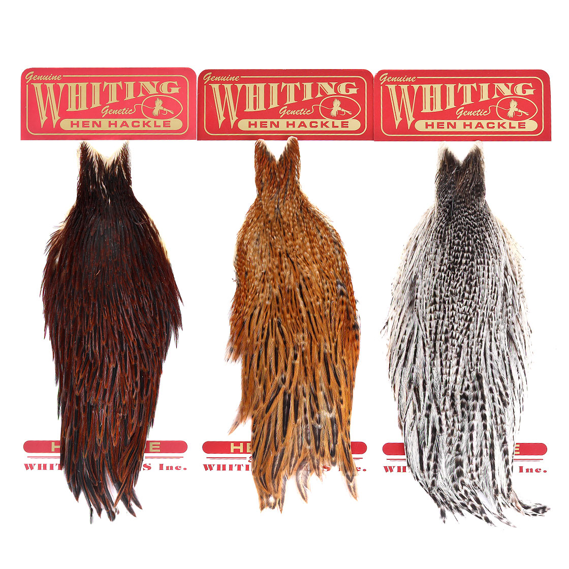 Whiting Hen Cape