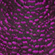 grizzly dyed magenta