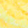 sweetcorn