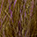golden bronze back