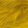 yellow olive