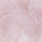 03 anemone