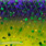 purple rave