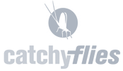Catchy Flies
