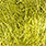 chartreuse