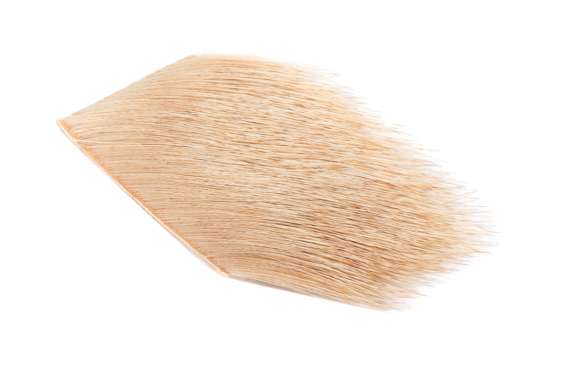 elk bleached