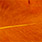 20 ochre