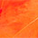10 fluo orange