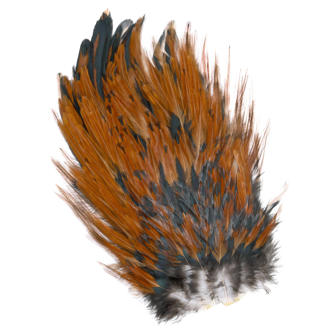P-25376-1_Whiting-4-B-s-Rooster-Saddle_brown brown