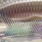 real glass minnow