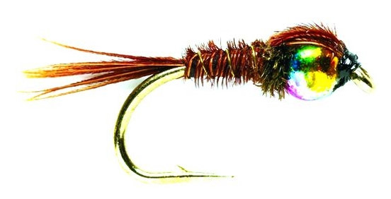 Fulling Mill Nymphe - Hot Head Pheasant Tail Rainbow