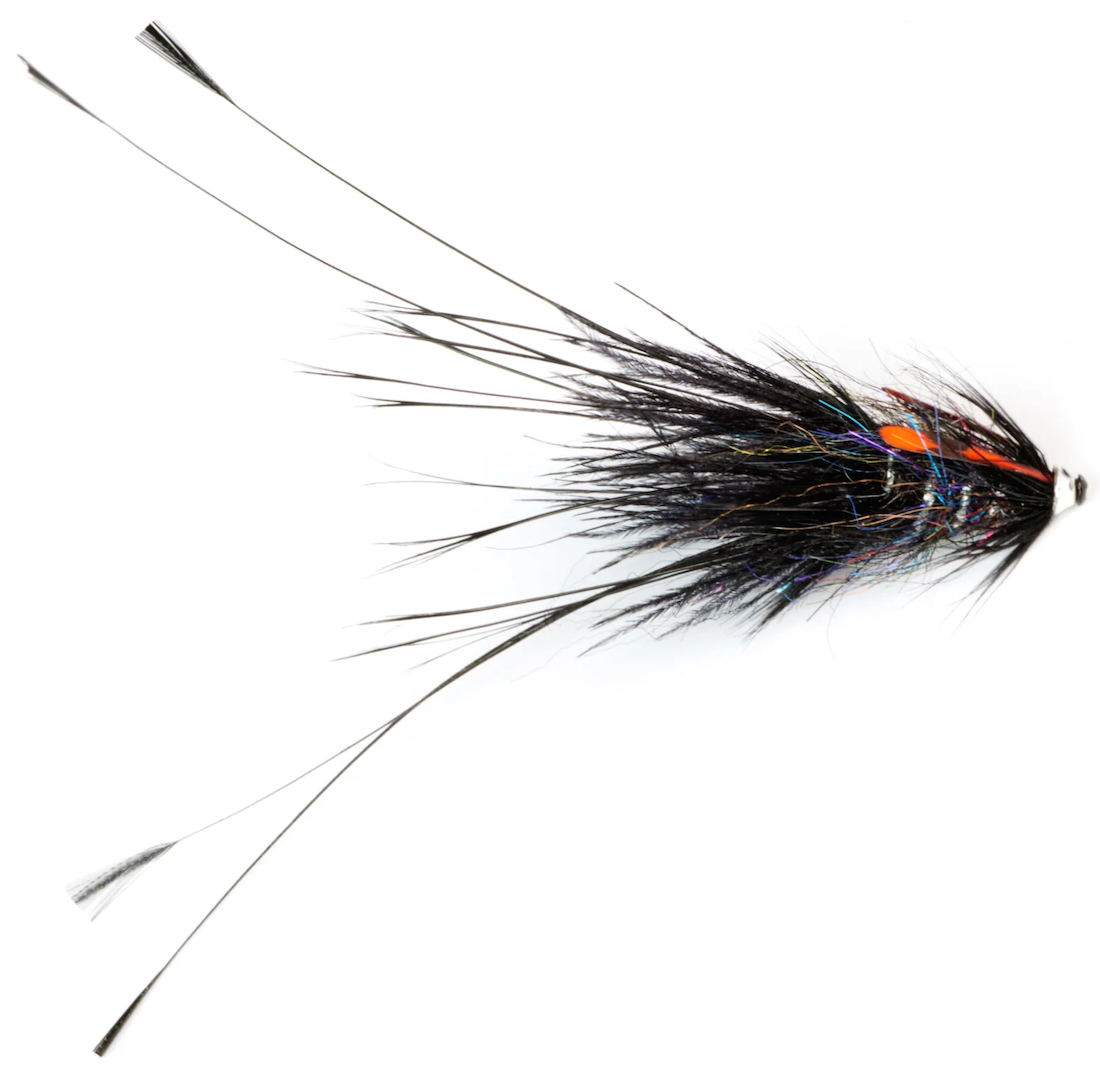 P-25334_Frodin_Flies_Pig_Series_Mikkeli_ Frödin Flies Tubenfliege Pig Series - Mikkeli