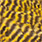 grizzly sunburst yellow