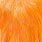pastel orange