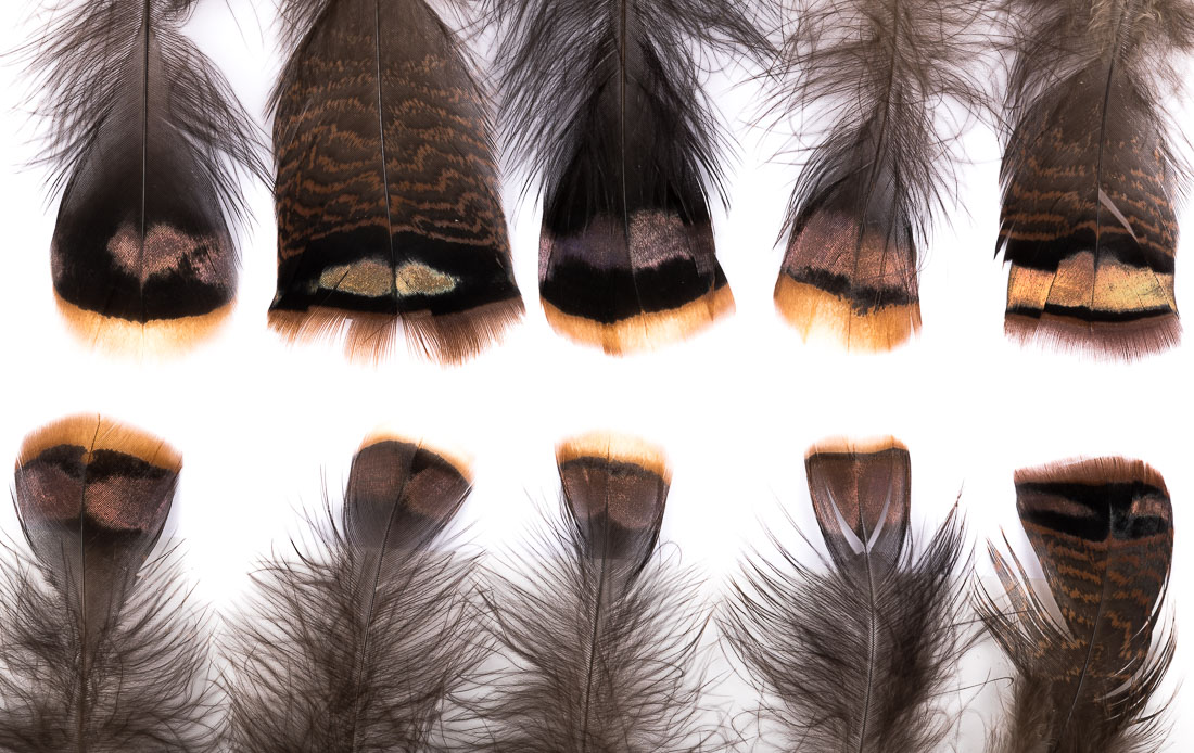 Hareline Turkey Shorts Mix Truthahnfedern