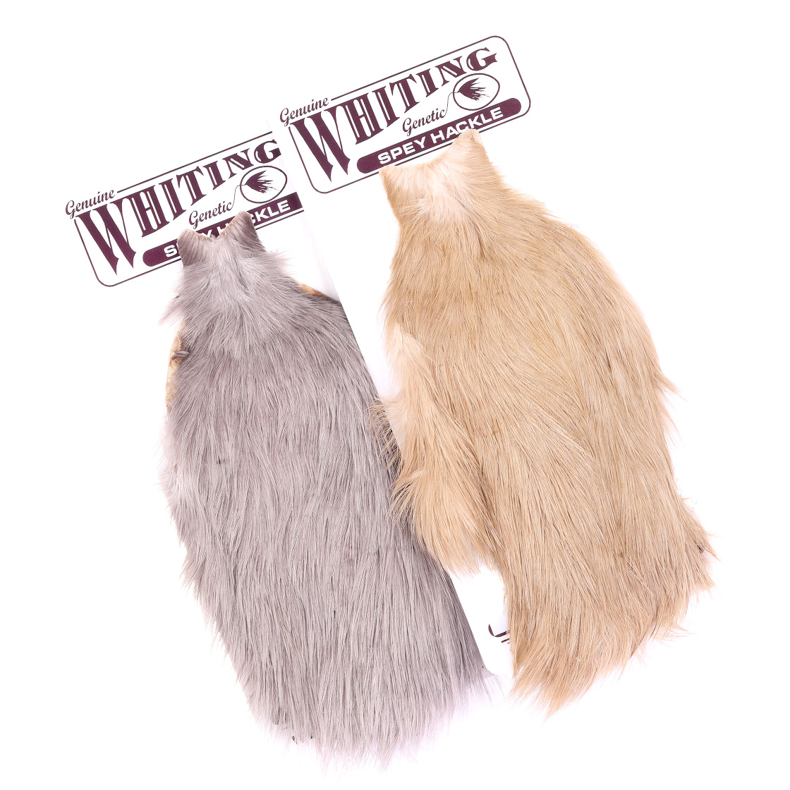 Whiting Spey Hackle Hen Cape