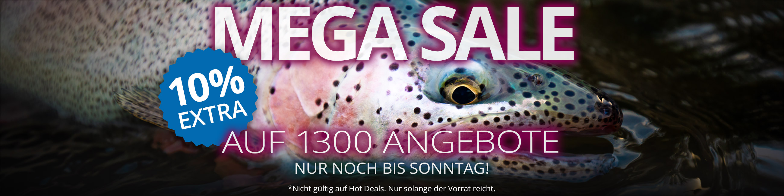 MEGA SALE: 10% Extra auf 1300 Angebote
