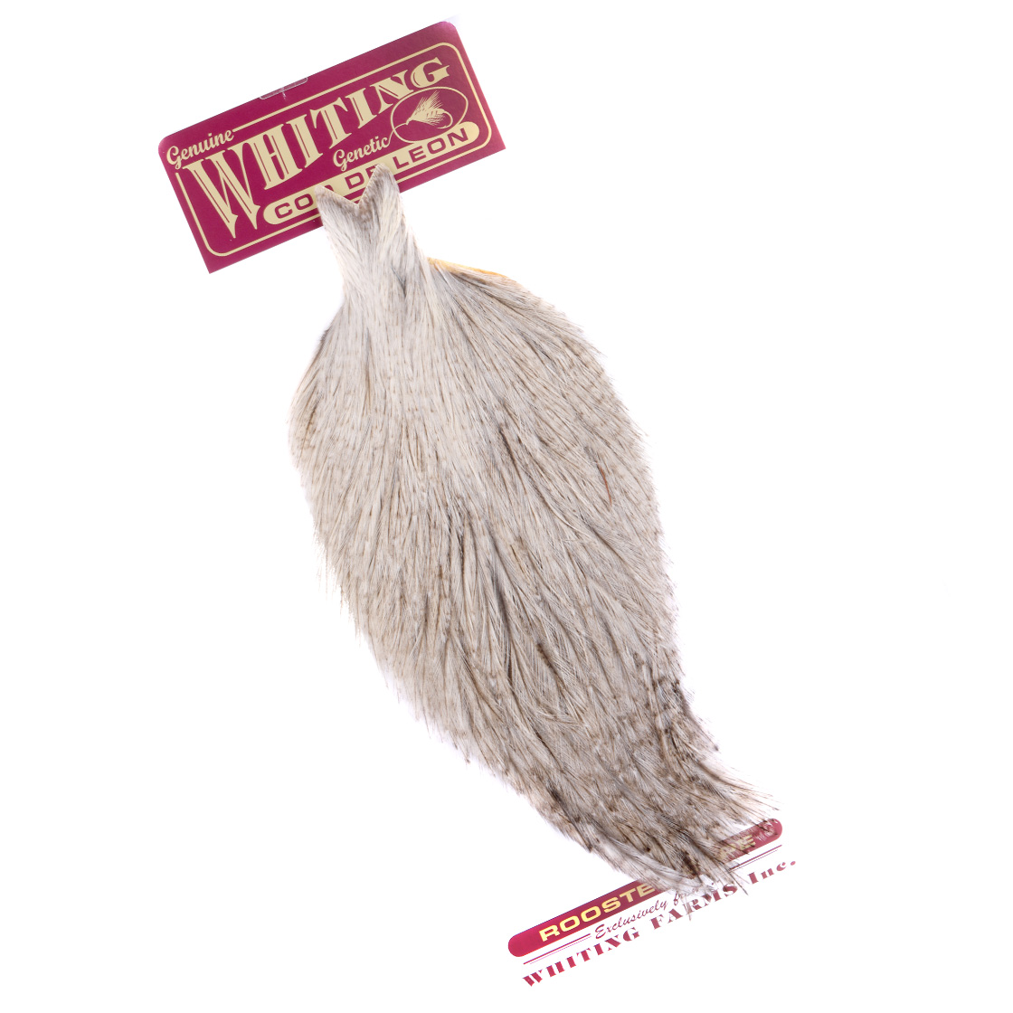 Whiting Coq de Leon Cape