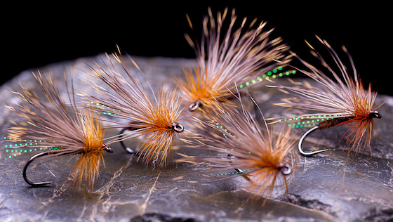 Whiting Farms - Qualität für Fliegenbinder