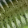 C-05