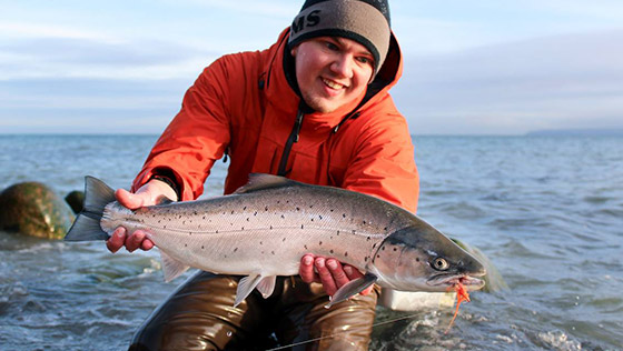 Fliegenfischen auf  Meerforelle – eine kompakte Starthilfe