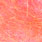 shell pink