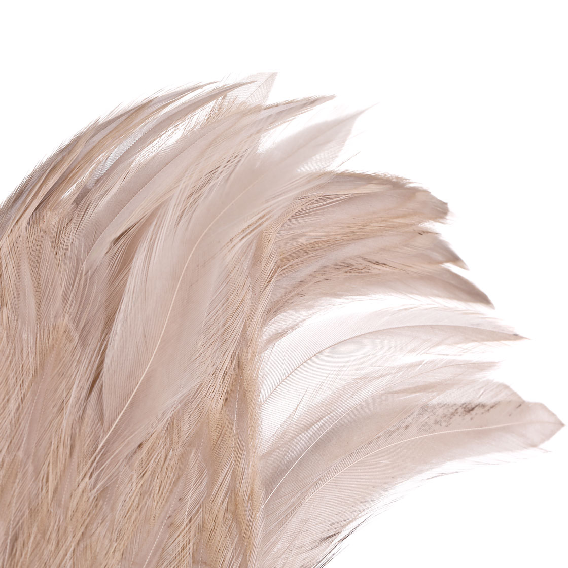 P-25380_Whiting-American-Rooster-Cape_detail_2