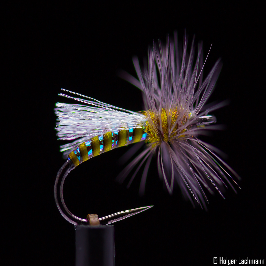 Holger_Lachmann_Whiting_Trockenfliege_Beispiele_2 Bindebeispiel von Holger Lachmann